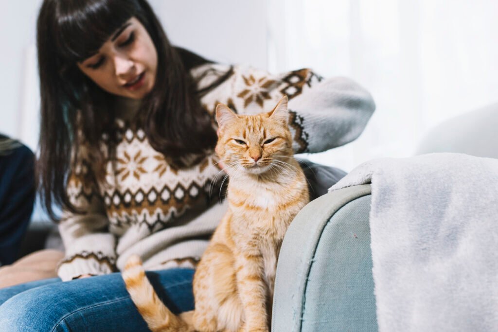 Creating a Cozy, Healthy Life for Your Feline Friend.